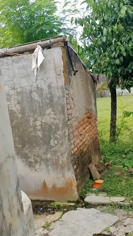 masa kaya gini gak dapat PKH atau bpnt gmn ini? yg rumahnya bagus bagus dan masih muda aja malah dapat#grindra#pkh #bpnt#prabowo#gibranrakabuming