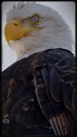 #CapCut هو اى حد كدا يتقال عليه عدوي ؟#ابعتهالوو⚔️🧿 #ترند #تصميم_فيديوهات🎶🎤🎬 #اكسبلور 