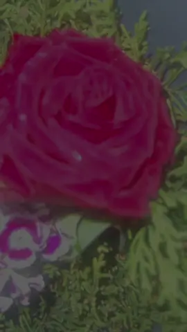 #angola🇦🇴portugal🇵🇹brasil🇧🇷 #mundotiktok #amigostiktok #mundial #tiktok 