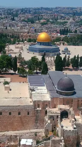 #قدسنا_ستبقي_في_عروقنا …