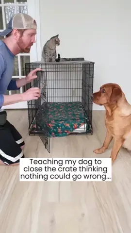 Smart Kitty 🤓 🐈  Follow us! 💕  #smart #kitty #cat #dog #pets