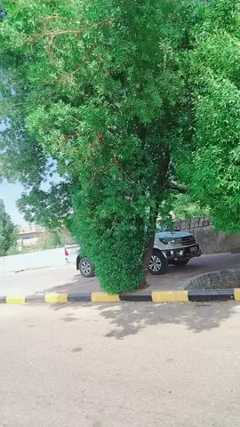 #تيك_توك_جدة #الشعب_الصيني_ماله_حل😂😂 #اكسبلورexplore #capcutvelocity 