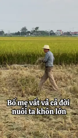 Món quà nhỏ tặng cha mẹ chỉ mong cha mẹ luôn mạnh khoẻ vui vẻ bên con cháu là hạnh phúc lắm rồi mn ạ #baohieu #demmassage #ghemassage #fip #bome 
