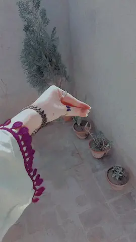 Goriya hathan ty nill hogae🤧😭♥ #saweirakhan162 #foryou #tiktokteam  #foryoupage #unfreezemyacount🙏 