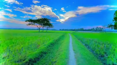 অপরিচিত লোকের দেয়া কিছু খাবেন না, কিন্তু পরিচিত লোকের বাঁশ খান।