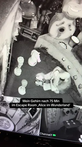 Eine der schwierigsten Escape Rooms in Zürich wartet auf dich – traust du dich ins Wunderland? 🔐🐇 #escaperoom #zürich #roomescaperoom 