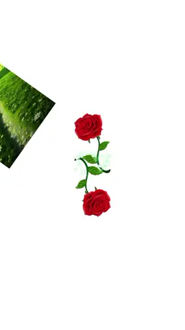 #pyyyyyyyyyyyyyyyyyyyyyyyyyyyyy 