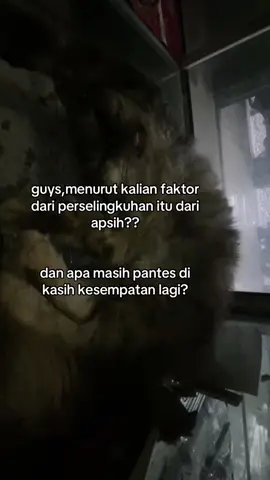 komen dongg#fypシ゚viral #4u #fyp 
