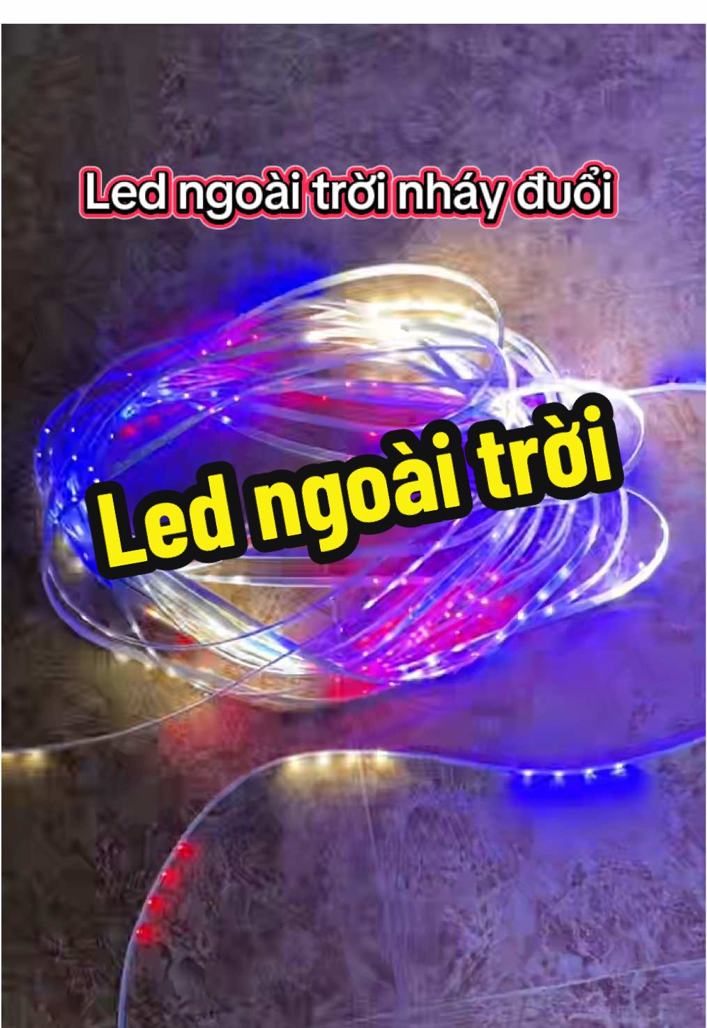 Mẫu led ngoài trời nháy đuổi, chống nước mời cả nhà#denled #denledtrangtri  @Mèo Gia Dụng  @Mèo Gia Dụng  @Mèo Gia Dụng 