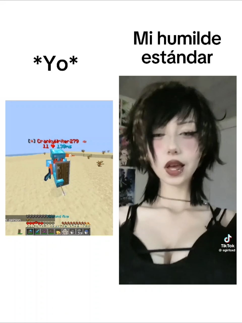 Mis Humildes Estandares / *Yo* #PVP #Minecraft #fyp 