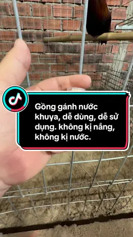 Gồng gánh nước khuya, dễ dùng, dễ sử dụng. không kị nắng, không kị nước. #thuy68 #ga #c1 #c2 #c3 