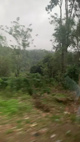 Nak ft ujan gerimis 