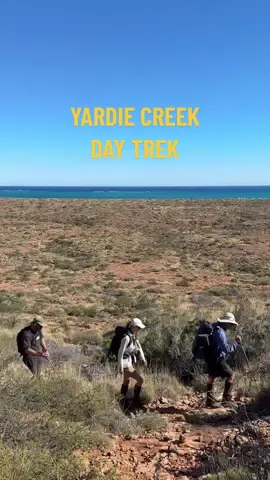 Save this for your next trip to Exmouth! Ian from Trek Ningaloo will take you on a day trek or multi day hike.  A truly unforgettable experience that will leave you with lasting memories of what is such a special place. Finish the day with a picnic at Charles Knife Canyon or head to Whalers Restaurant for some fresh seafood and cocktails to round out an amazing day along Australia’s Coral Coast 🐠  #perth #perthisok #westernaustralia  