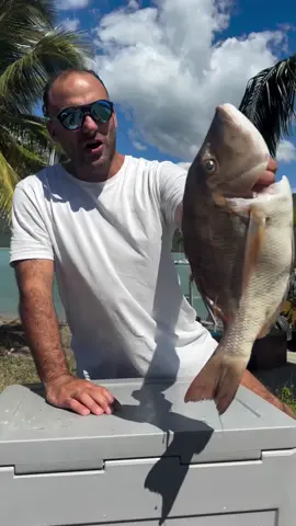 Grassy Sweet Lip #fishing #airliebeach #cleaningfish #fish 