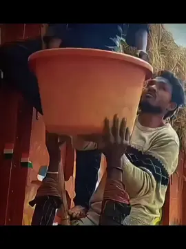 life is not easy for men #trending #unfreezemyacount #foryoupage #grow #fypシ゚viral 