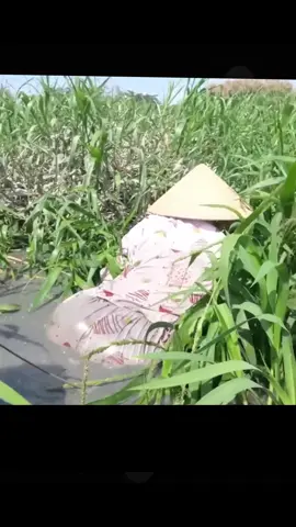 Beautiful girl catching fish #beautiful #girl #fishing #fyp 