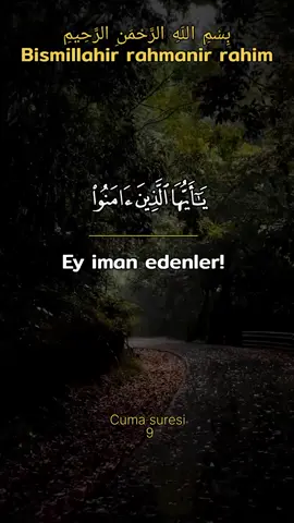 #سورة #يكتشف #quran #allah #عبد 