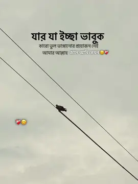 যার যা ইচ্ছা ভাবুক কারো ভুল ভাঙ্গানোর প্রয়োজন নাই আমার আল্লাহ জানে আমি কেমন 😊❤️‍🩹#foruyou #foryoupage #trending 