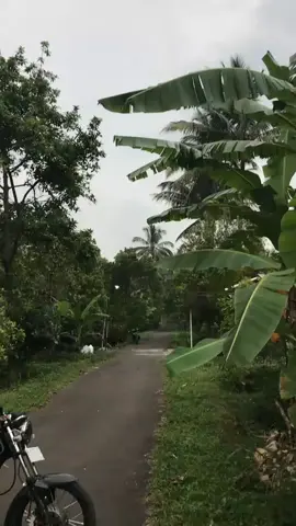 di sholawat ti sek cah😇 #glpromaxindonesia #glkotak #glgank #bokongkotak_gank🙌 #gl160 