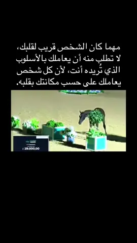 #خواطر_إحساس🎀 #عبارات_جميلة_وقويه😉🖤 #خواطر_من_القلب❤️ #خيول_عربية #اكسبلورexplore❥🕊🦋💚❤🕊️ 