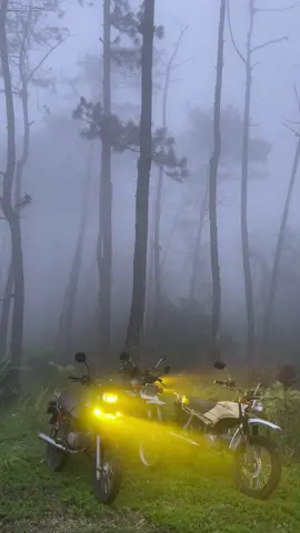 Honda Win dan alam  #hondawin #win100 