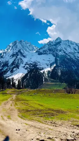 Sukoon 🏔️ #foryourpage #foryou #fyp #kashmir #kashmirvalley         