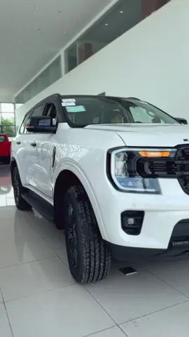#FordTiềnGiang #ford #danhtranford #fyp #PHUMYFORD 