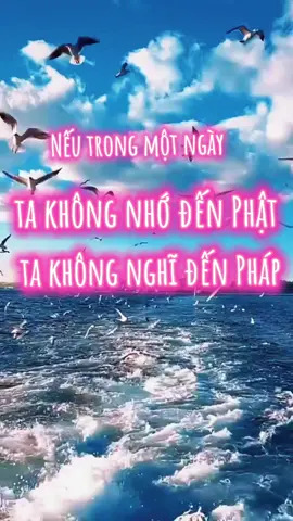 Nếu trong một ngày mà ta không nhớ đến Phật, không nghe, nghĩ đến Pháp, không từ nhủ lòng mình thì cái  tham , sân, si, ích kỷ tự nó cứ khởi lên hoài nó kéo đạo tâm ta tụt xuống hoài.  #podcast #podcastclips #chanquang #baihoccuocsong 