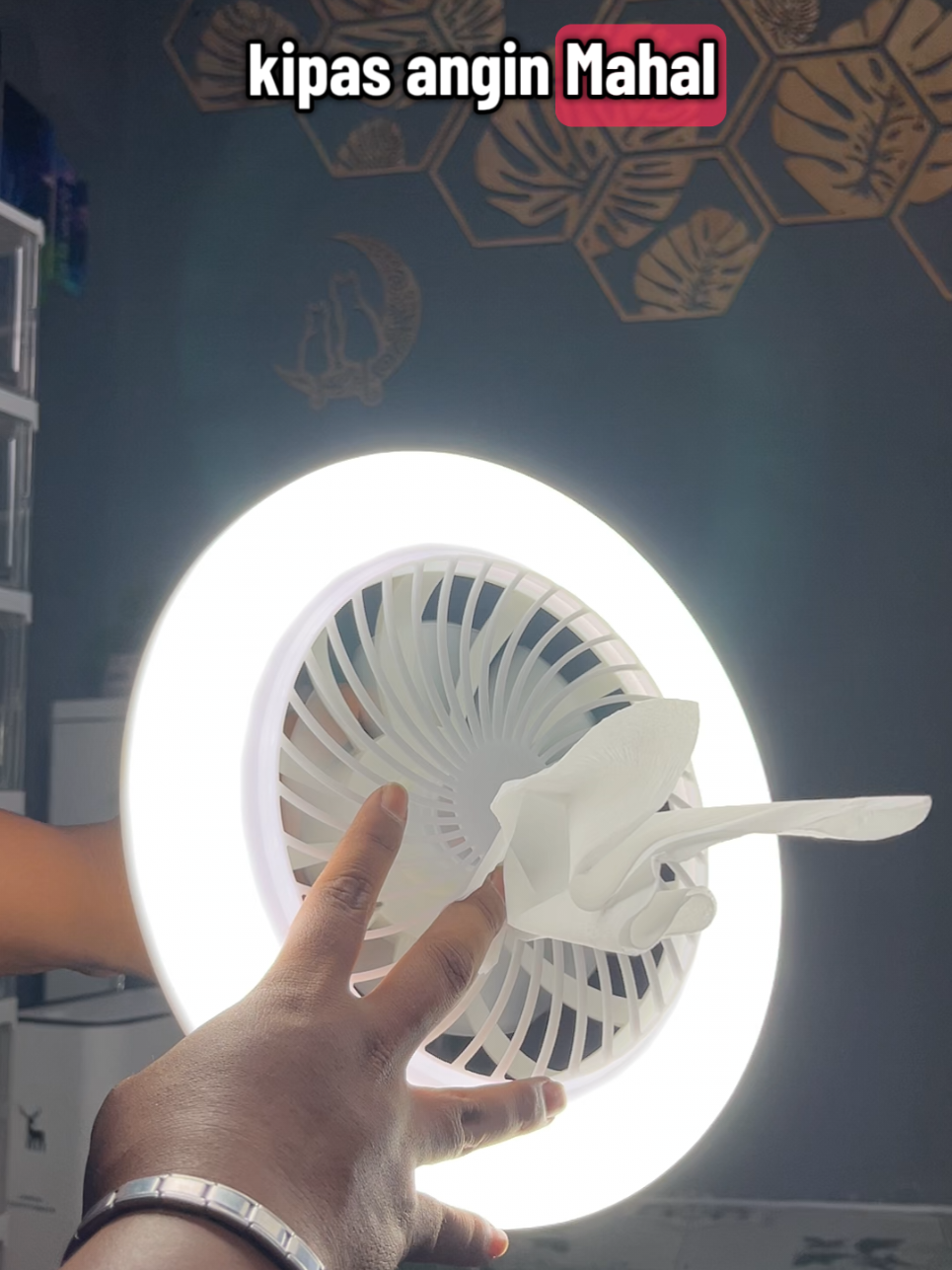 lampu kipas angin #lampukipasangin #lampukipas #lampukipasmurah #lampu #wibgajian 
