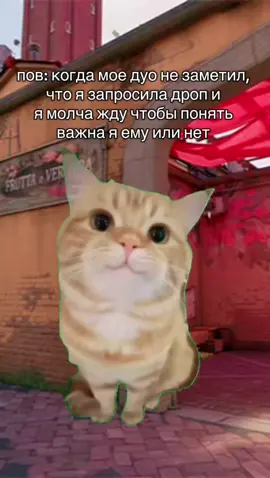а если дропнет кому-то другому то буду молчать до конца игры ( #Valorant #валорант #fyp #валорантснг #вал 