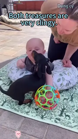 The baby and the puppy playing outdoors #fyp #foryoupage #baby #dog #happy 