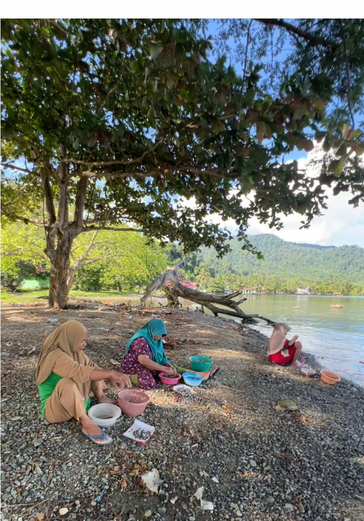 bikin ikan di pantai,.. kalo kyak bgni biar ikan banyak tidak berasa krn tangan bikin ikan mulut bergosip🤭😅🤣 #pantai #yaba #malukuutarapride🏝🔥fypシviral 