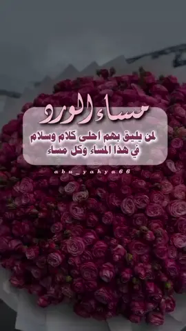 مساء الهدوء والاجواِء الجميلهہ َۈالامنيات الصغيرهَ المتطايرهَہ نحو السمااِء مساِء ڳل شيء..جَميلل ♡♡♡.. ﻣ̑ﺳﺳـΙء Ιﻟخيرآإت