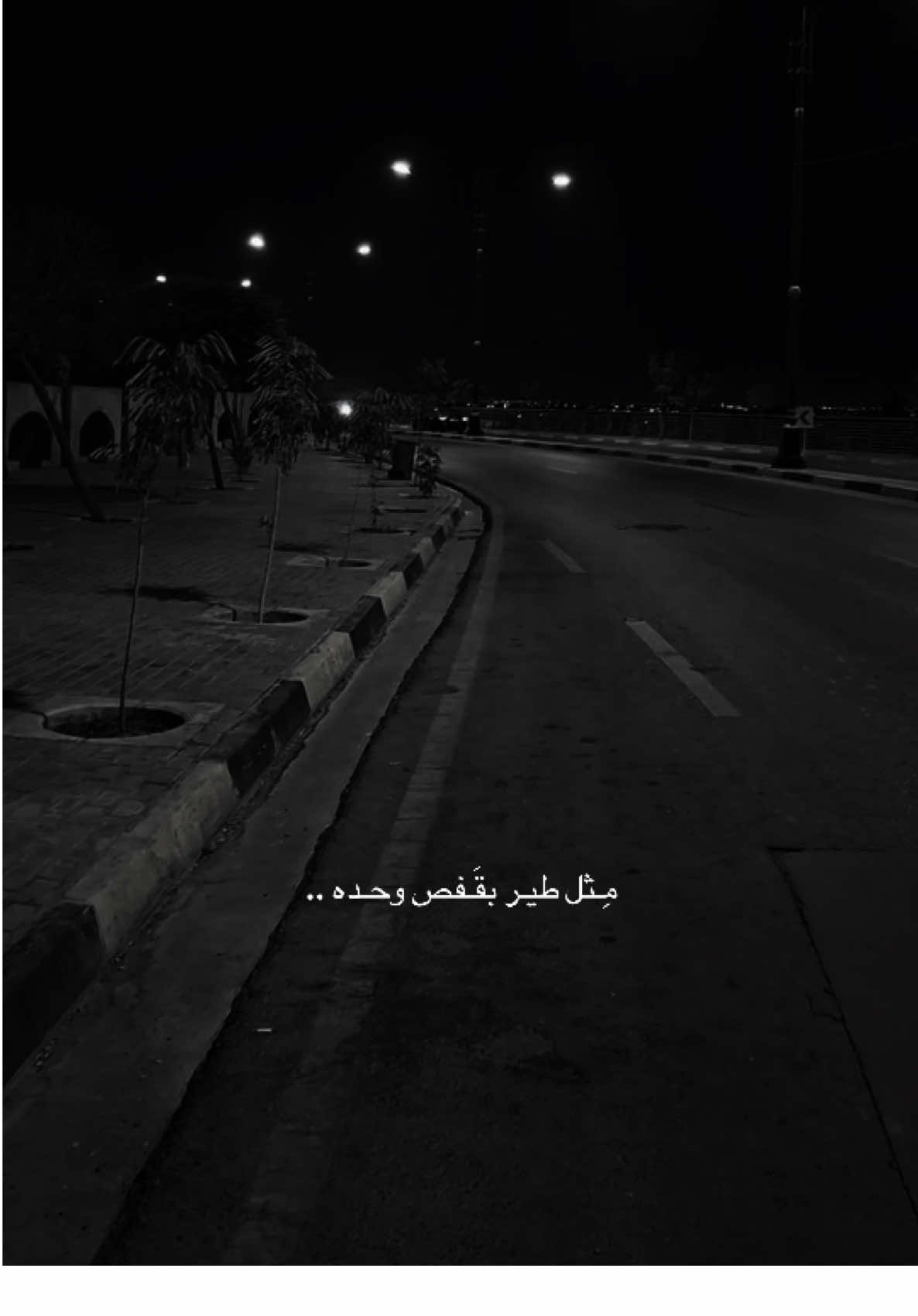 مثل طير بقفص وحده ؟#قوالب_تيك_توك_جديده #قالب_تيك_توك_جديد #قالب_تيك_توك #قوالب_تيك_توك 