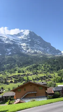 #switzerland #travel #swiss #wanderlust #nature 