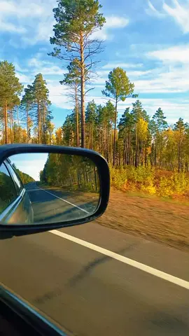 #осеньэтокрасиво🍁🍂 #юрийшатунов #всемпривет 