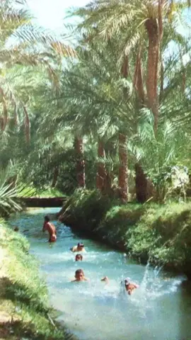 #مظفر_النواب  يغني أحدى بستات جويسم وگريري  #طربيات  #غناء_صوتي🎶🎤🎤🎤🎤 