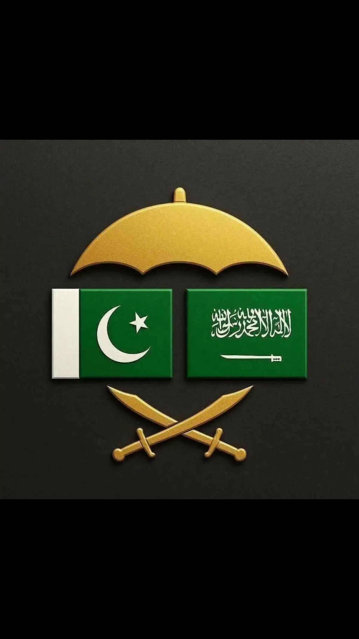 Proud to be Pakistani  🇵🇰 #viral #views #fyp #video #trending #arab #gulf #qatartiktok🇶🇦 