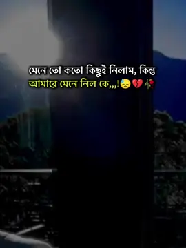 মেনে তো কতো কিছুই নিলাম, কিন্তু আমারে মেনে নিল কে,,,!😓💔🥀#stutas #foryourpage #stutes_video #unfrezzmyaccount #bangladeshtiktok @#foryou @Tiktok Indai Tiktok  @TikTok Bangladesh @Tik Tok 