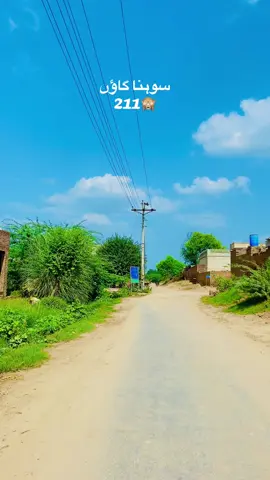 Kon kon h 211sa comment kro  @mian G @mian g🤗🤗 @Muskan🥰✌️ #mianalihassan2211 #mianalihassan2211💪💪 #itsmiang🧐 
