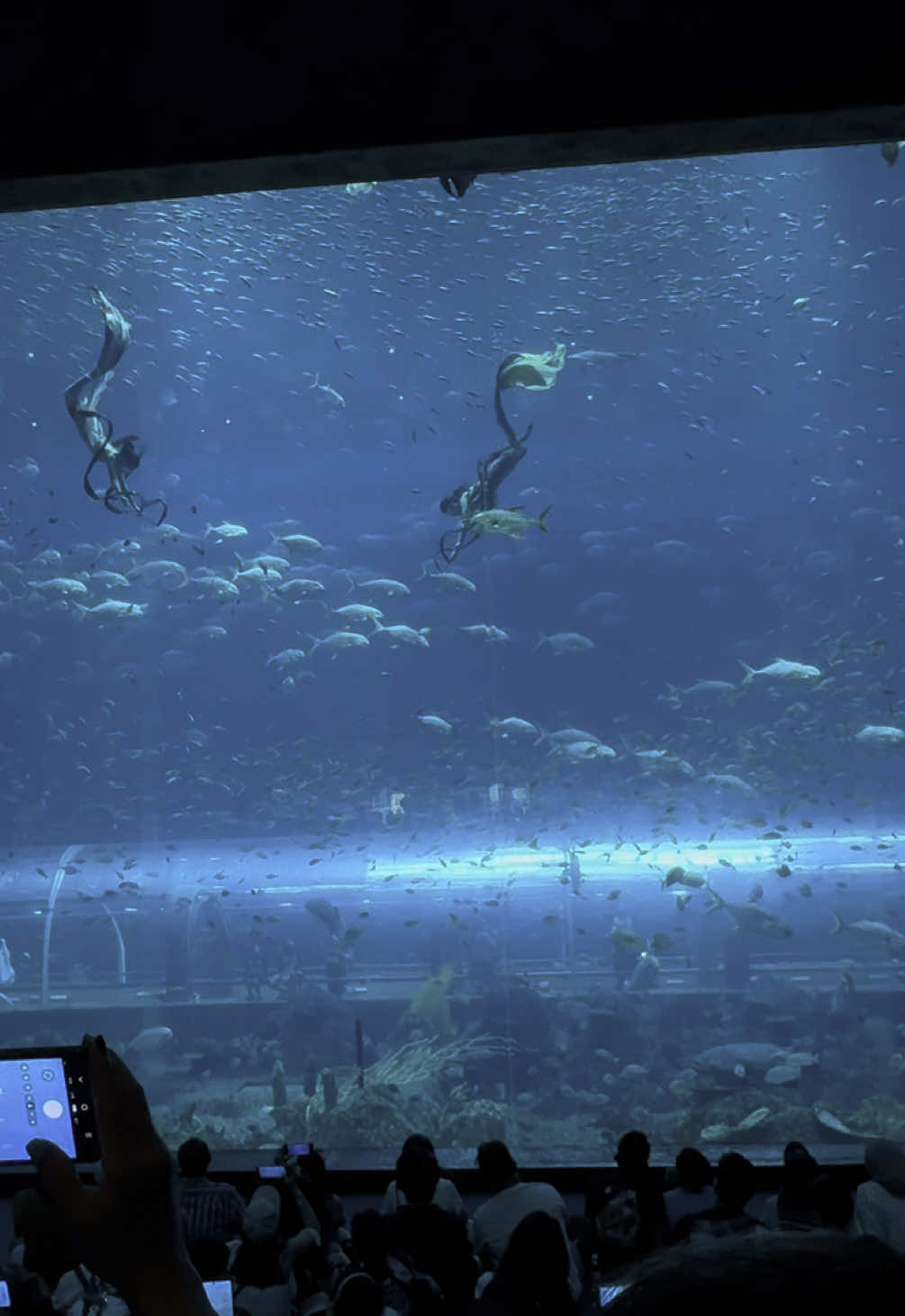 #VinWonders #GreenCreator #dulich