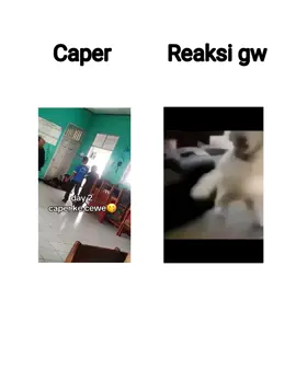 caper kali😑 #dog#caper#meme#masukberandafyp 