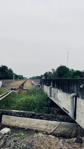 lagune wong kalah☘️☘️#tcatt #theclonvesandthetobacco #celtikpunk 