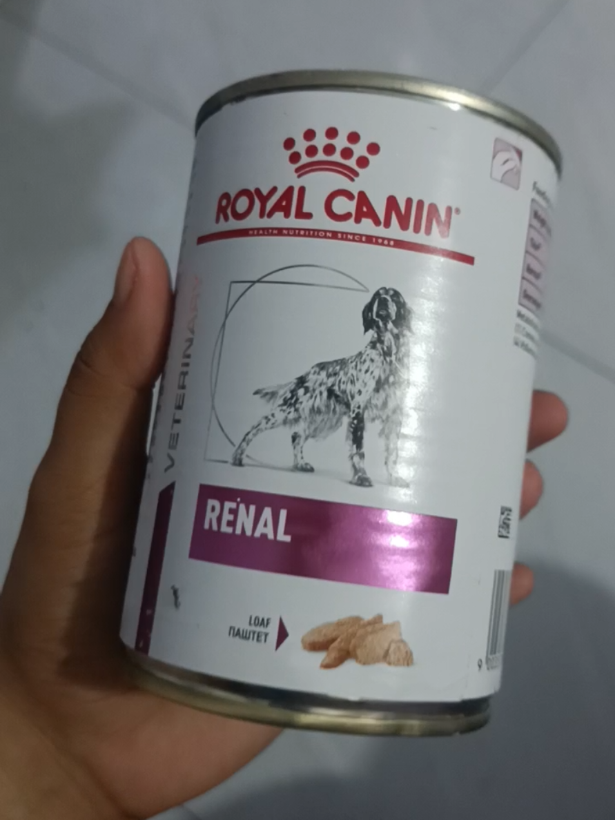 #royalcanin #wetfood #healthy for #PetsOfTikTok #fyp 