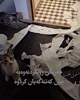 ‏#kak_hama39 #actives? #fppppppppppppppppppp #ئه_كتيڤ_بن💔😌 #fppppppppppppppppppppppp  
