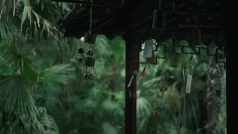 Hồng trần lắm mộng, chỉ riêng ta đa tình hóa hư không…  #canhdep #fyp #xuhuong #trungquoc #namkinh 