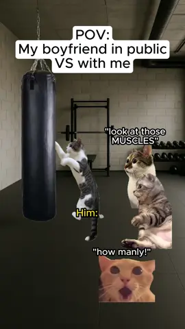 Is your bf the same?😭❤️ #catmemes #relatable #catmeme #Relationship 