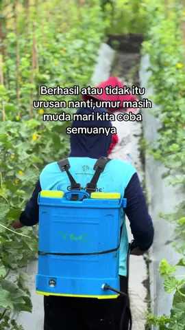 Bismilah aja dulu🤲#petanimelon #petanimilenial #fyp #petanisayur #petanisayur 