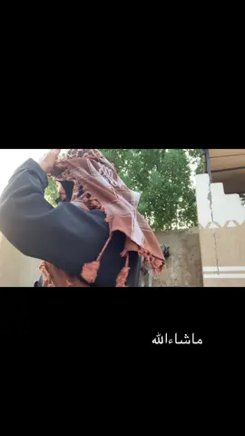 فلوق وجسوري يتفرجني🤞🏻#ماشاءالله_تبارك_الله #الحديبيه🏇 