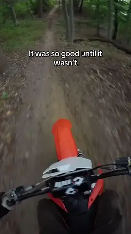 The tree moved #trustx #fyp #hashtag #jokes #ktm 